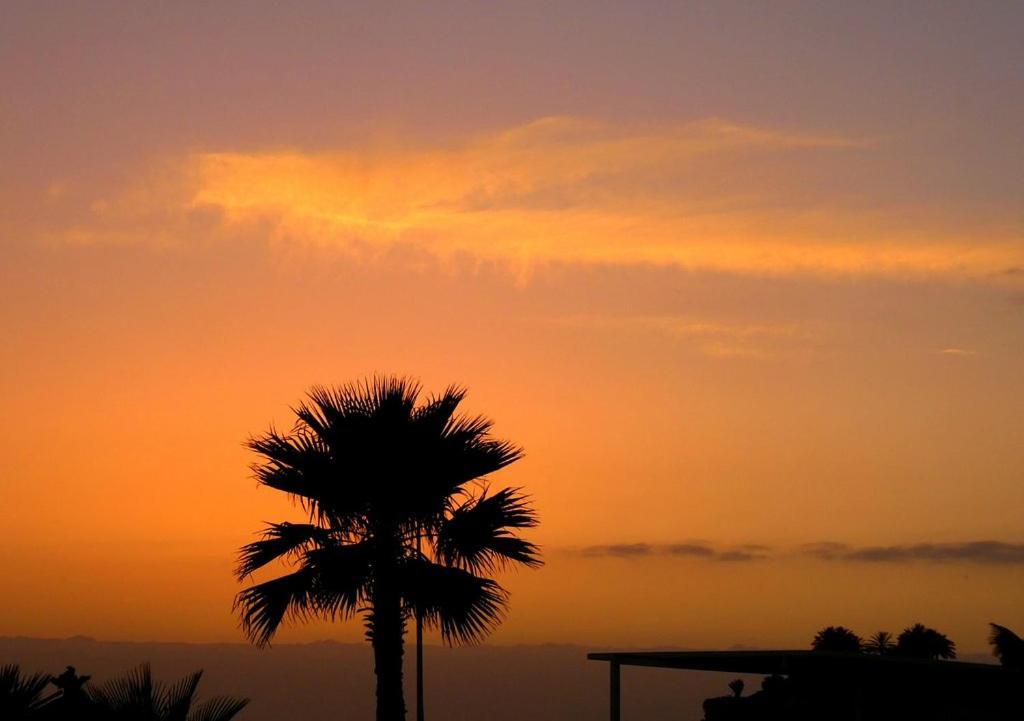 Beach-Front Tenerife Sth Sea And Pool View Коста-дель-Силенцио Экстерьер фото